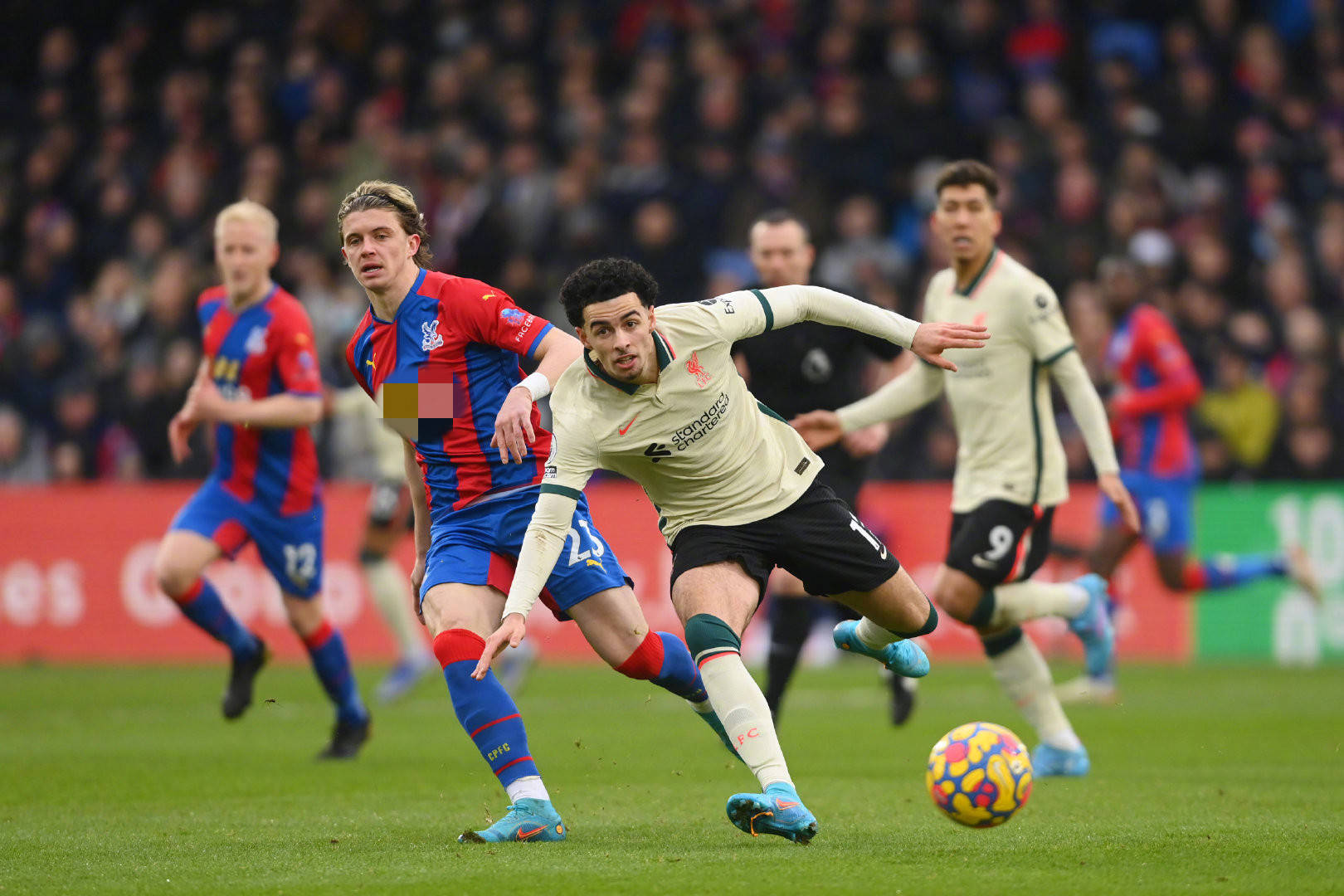 尤其在某些 尤其在某些